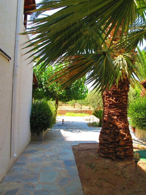 Stefanie Studios Aegina Exterior foto